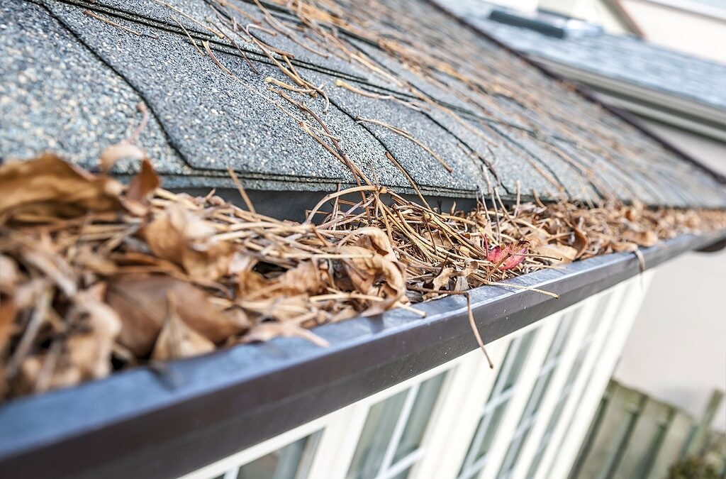 Why Is Residential Gutter Cleaning Important?