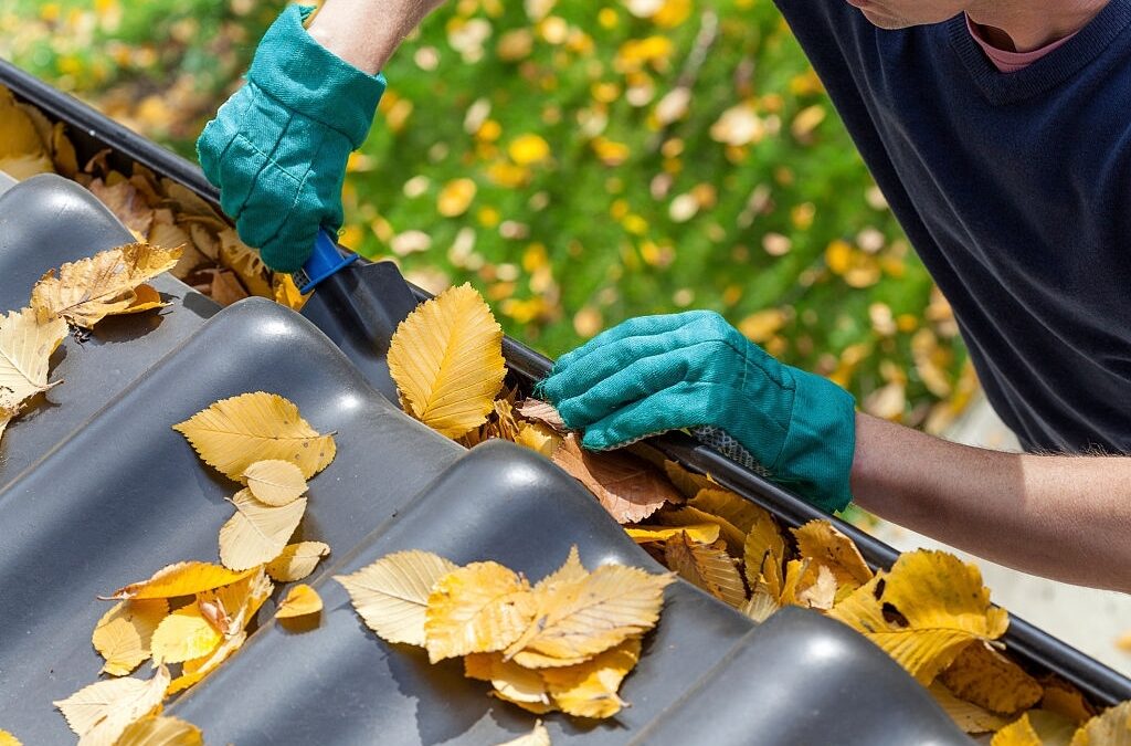 Gutter Cleaning Tips