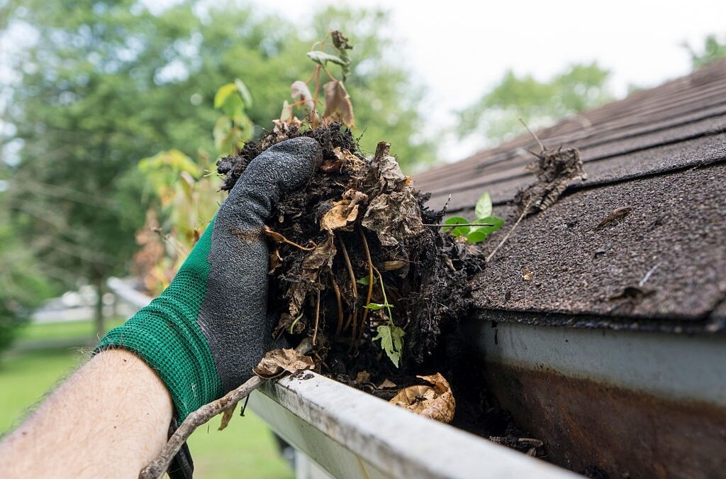 Gutter Cleaning Importance