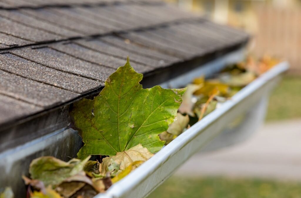 Gutter Guards – Protect Your Home From Debris