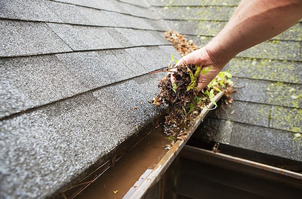 What You Need to Know About Roof Cleaning  in Knoxville