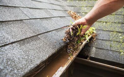 What You Need to Know About Roof Cleaning  in Knoxville